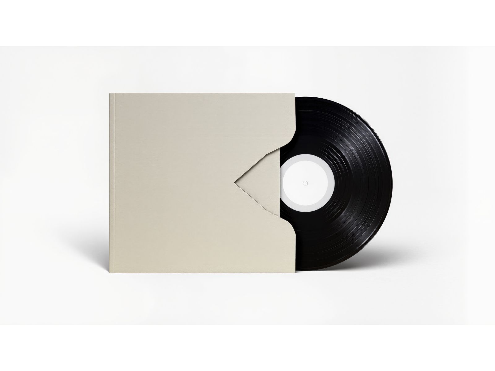 Mídia Vinil (LP e Singles)